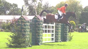 a horse can be insured for all levels of competition including show jumping