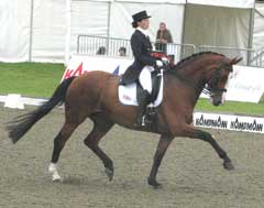Glucosamine can help to maintain flexible joints in a dressage horse