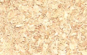 wood shavings are a popular bedding for horses