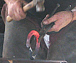 farrier making a horseshoe