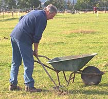 removing horse droppings from pasture is an environmentally friendly method of worm control