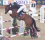 stress on joints when showjumping can cause arthritis